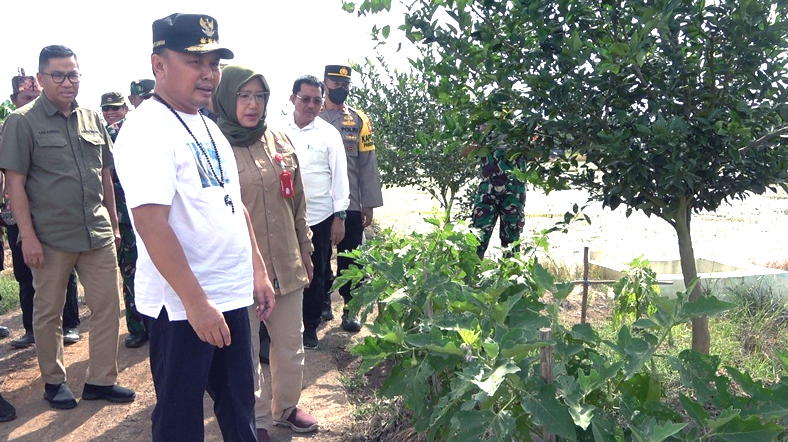 Gubernur Kalteng Tinjau dan Menginap di Lokasi Food Estate
