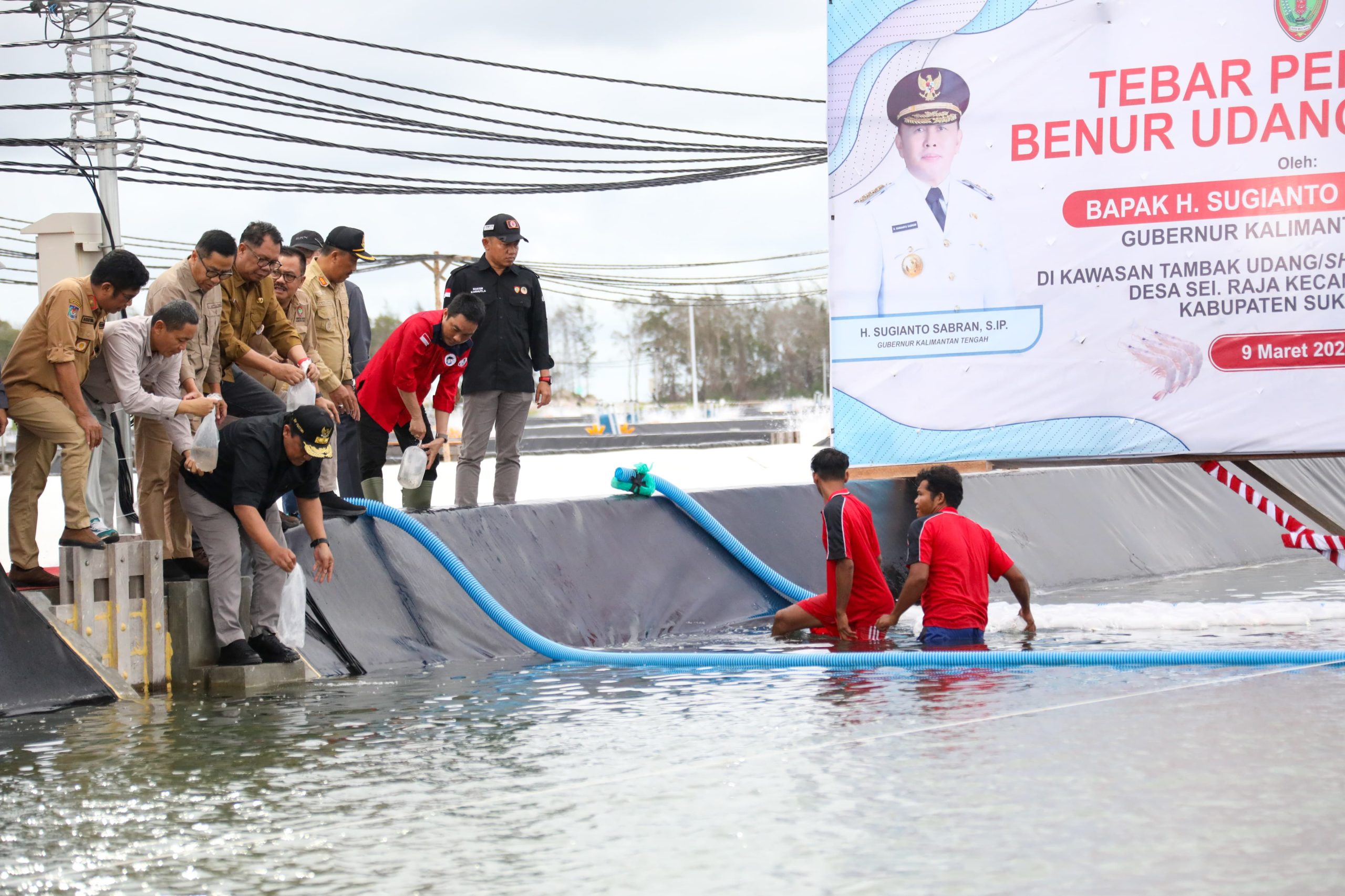 Wagub Kalteng Lakukan Tebar Perdana Benur Udang Vaname di Desa Sei Raja Kabupaten Sukamara
