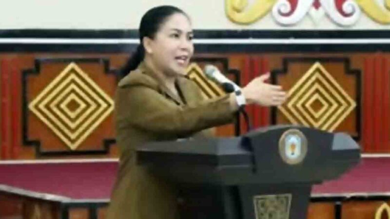 DPMD Mura Gelar Workshop Penyusunan Dokumen Perencanaan Pembangunan Desa