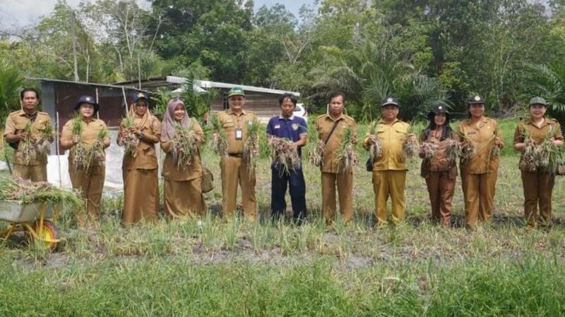Dorong Produktivitas Petani, Dinas TPHP Kalteng Dukung Panen Bawang Merah di Tangkiling
