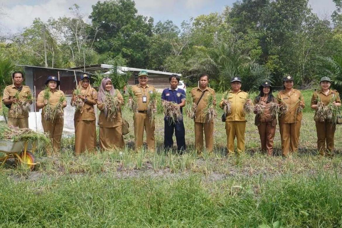 Dorong Produktivitas Petani, Dinas TPHP Kalteng Dukung Panen Bawang Merah di Tangkiling